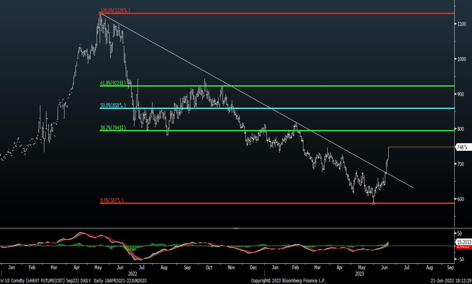 Commodity rally looks to be underway