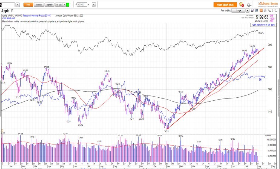 Initial SPX selloff likely bottoms by 8/8; Amazon, Apple analyzed