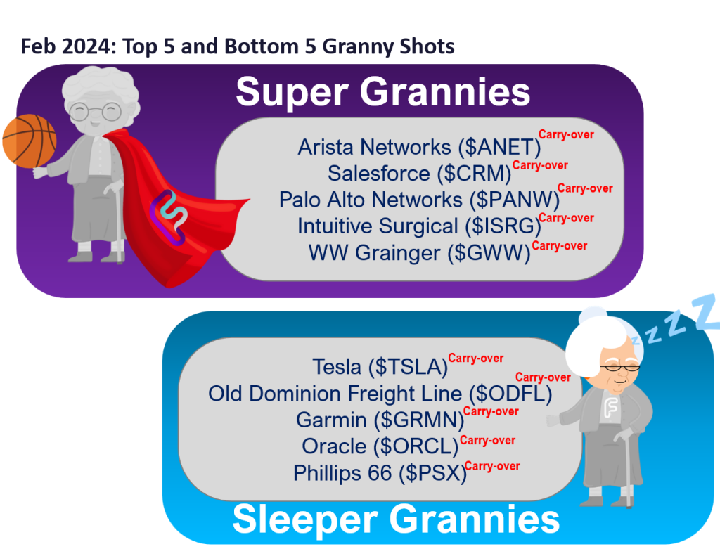 GRANNY SHOTS: February 2024 Super Granny update.