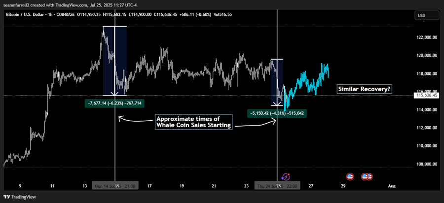 Liquidity Still Supportive, Despite Whale-Induced Drag